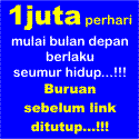 bisnis internet